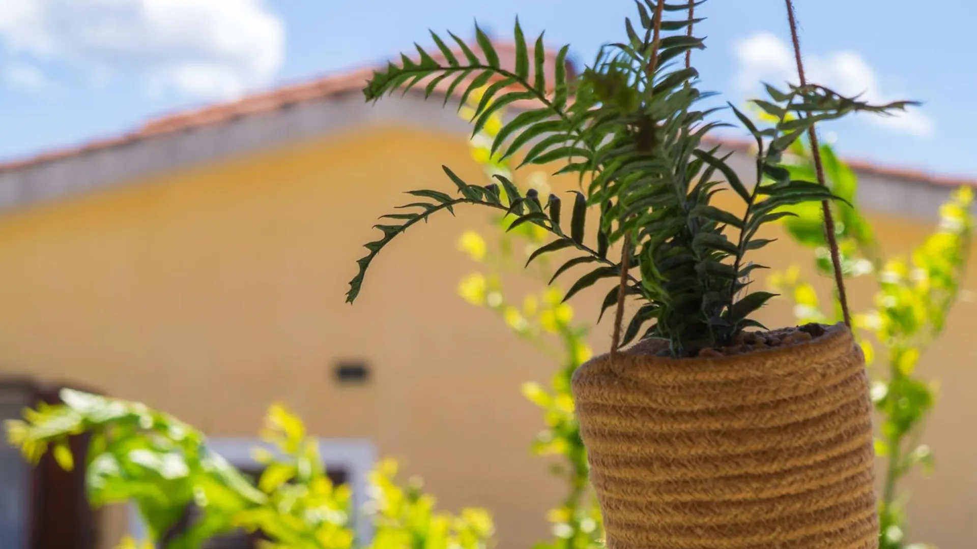 Villa Nova أرباتاكْسْ إيطاليا
